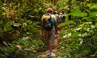 St. Kitts, Rainforest Eco Adventure Guided Wanderung - Housity