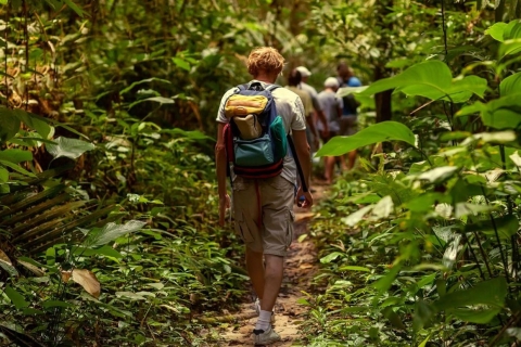 Saint-Kitts: randonnée guidée Rainforest Eco AdventureSaint-Kitts : randonnée éco-aventure dans la forêt tropicale