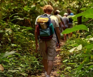 St. Kitts: Geführte Regenwald-Wanderung