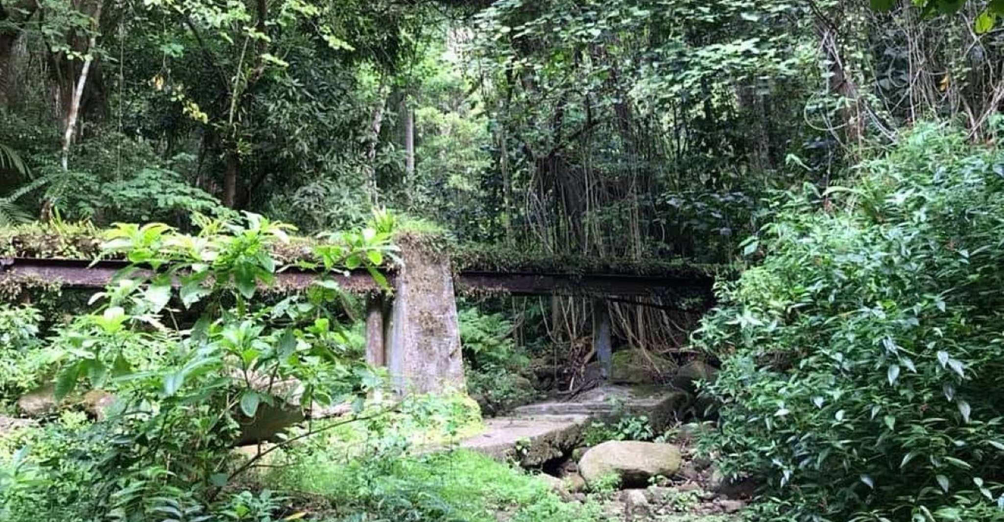 St. Kitts, Rainforest Eco Adventure Guided Hike - Housity