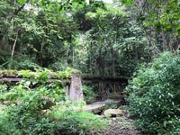 St. Kitts, Rainforest Eco Adventure Guided Wanderung - Housity