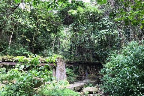 Saint-Kitts: randonnée guidée Rainforest Eco AdventureSaint-Kitts : randonnée éco-aventure dans la forêt tropicale