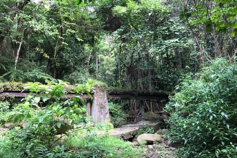 St. Kitts: Geführte Regenwald-WanderungSt. Kitts: Regenwald-Öko-Abenteuer-Wanderung