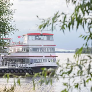 Biesbosch: Boat Cruise through National Park