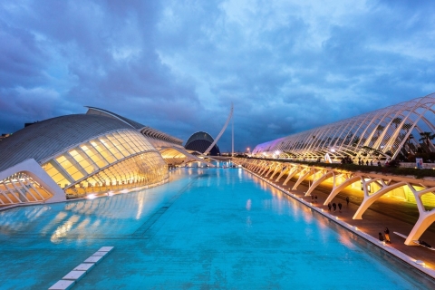 Valencia: 3-Hour Guided City Sightseeing & Beaches Bike Tour