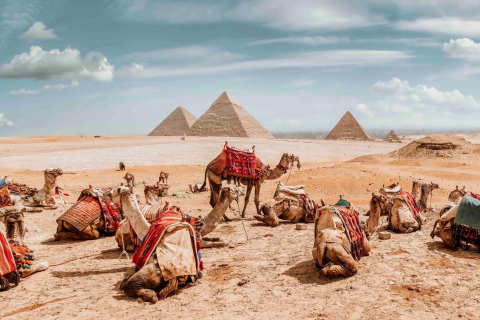 Caïro: rondreispakket door Egypte: 15 dagen all-inclusiveCaïro: rondreispakket door Egypte: 15 dagen zonder toegangsprijzen