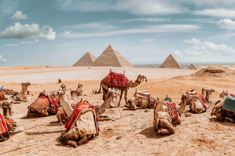 Cairo: Egypt Tour Package: 15 Days All-Inclusive Cairo: Egypt Tour Package: 15 Days Without Entrance Fees