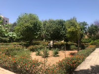 Templos Tarxien, Zejtun, Mercado Marsaxlokk y Bahía Kalanka - Hizvo