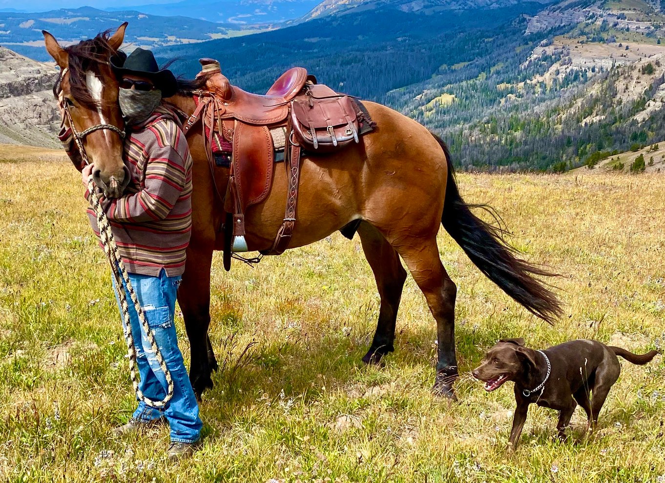 Jackson Hole: Ridetur til hest i Bridger-Teton National Forest