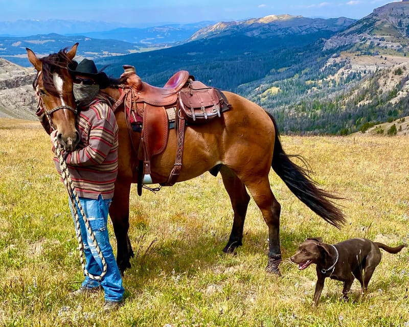 Jackson Hole: Dinner Cookout & Bridger-Teton Horseback Ride | GetYourGuide