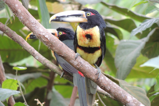 Ecuador Touren