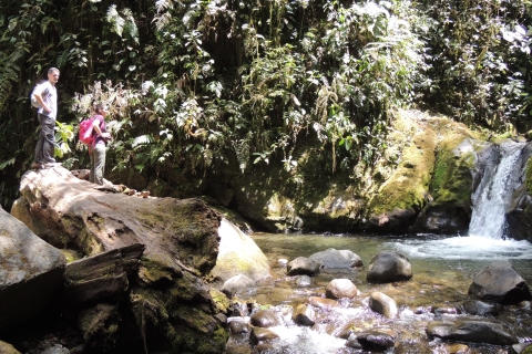 Van Quito: begeleide dagtocht naar het Mindo-nevelwoud