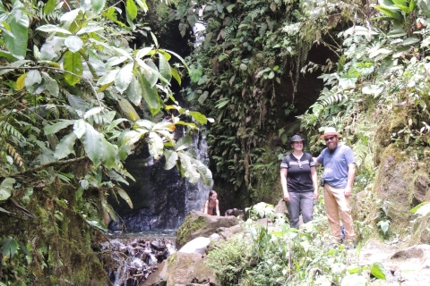 Von Quito aus: Geführter Tagesausflug zum Nebelwald von Mindo