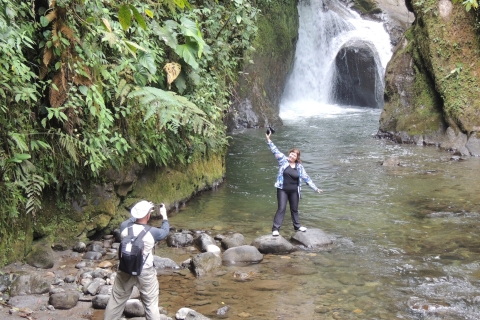 Desde Quito: excursión guiada de un día al bosque nuboso de Mindo