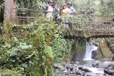 Van Quito: begeleide dagtocht naar het Mindo-nevelwoud
