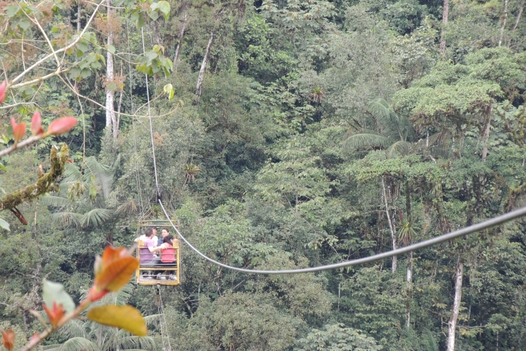 De Quito: excursion guidée d'une journée dans la forêt nuageuse de Mindo