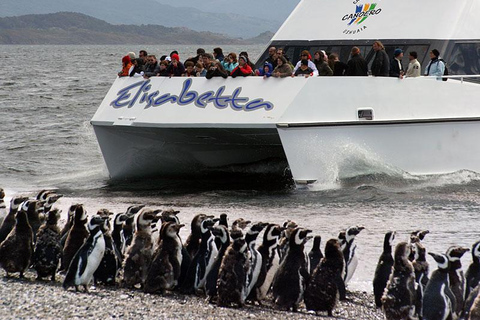 Ushuaia: Boat Trip to Isla Martillo: Penguins in the Beagle Channel Ushuaia: Navigation to Martillo Island: Penguins along the Beagle Channel
