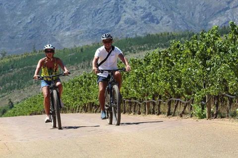 Stellenbosch: visite guidée en vélo électrique de la ferme viticole