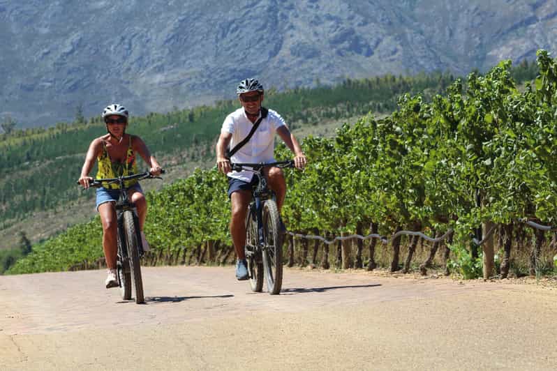 Stellenbosch: tour guidato in e-bike dell'azienda vinicola