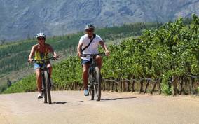 Stellenbosch: Wine Farm E-Bike Guided Tour