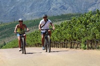 Stellenbosch, tour guidato da e-bike per la fattoria del vino - Housity
