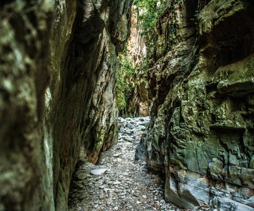 From Kalamata: Ridomo Gorge Hiking Tour with Greek Coffee