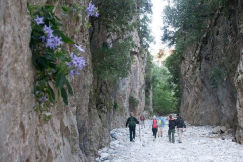 From Kalamata: Ridomo Gorge Hiking Tour with Greek Coffee