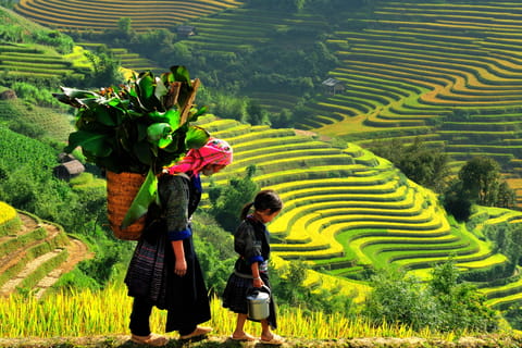 From Hanoi: 2-Day Trekking To Villages In Sapa with Homestay