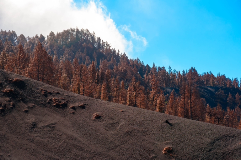 La Palma: trekking z przewodnikiem po wulkanie