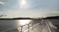 Tadoussac, VIP Lounge ou Upper Deck Whale Watching Cruise - Hizvo