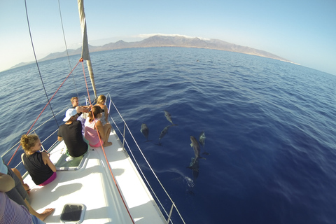 Desde Heraklion Creta: Excursión Privada al Atardecer a la Isla de DiaExcursión en velero a la isla de Dia Excursión al atardecer