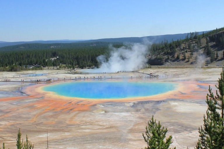 Jackson Hole 3-Day Guided Safari: Yellowstone & Tetons