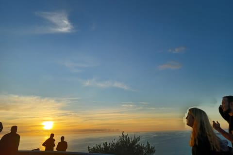 From Cape Town: Cape of Good Hope Guided Private Tour