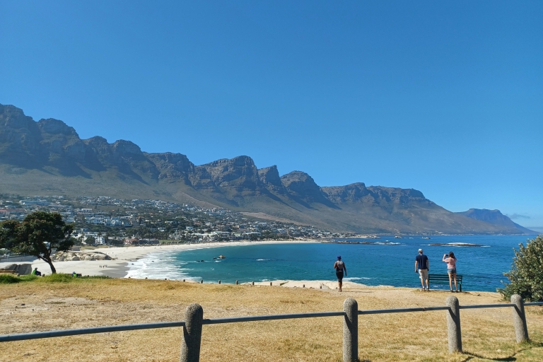 Ab Kapstadt: Geführte Privattour zum Kap der Guten HoffnungPRIVATE KAP DER GUTEN HOFFNUNG TOUR - AB KAPSTADT