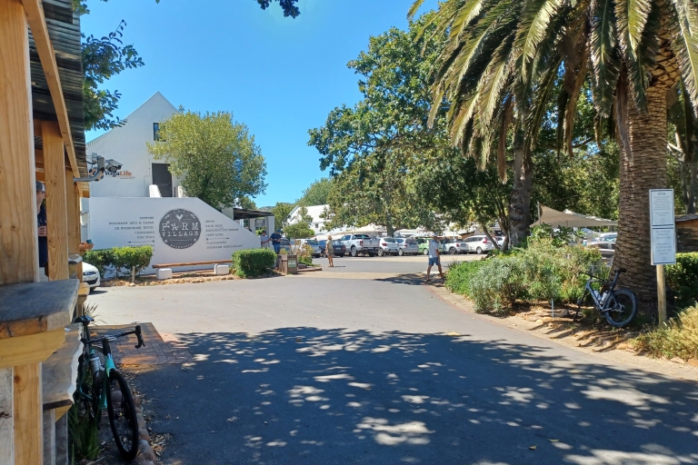 De Cape Town: visite privée guidée du cap de Bonne-EspéranceVISITE PRIVÉE DU CAP DE BON ESPOIR - DEPUIS LE CAP