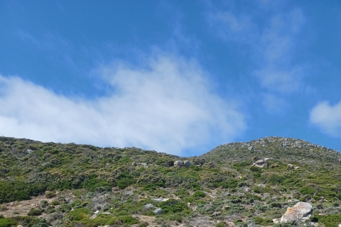 Desde Ciudad del Cabo: visita privada guiada al Cabo de Buena EsperanzaTOUR PRIVADO AL CABO DE BUENA ESPERANZA - DESDE CIUDAD DEL CABO
