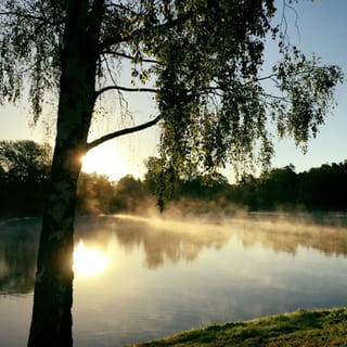 Da Vilnius: tour del parco Druskininkai e Grutas con trasferimento