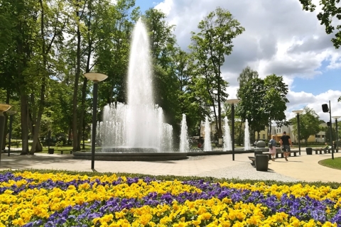 Von Vilnius aus: Druskininkai & Grutas Park Tour mit Transfer