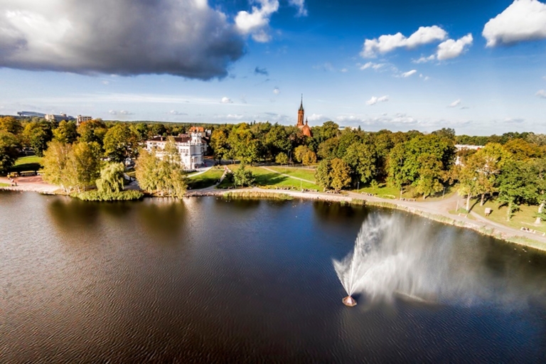 De Vilnius: visite du parc Druskininkai & Grutas avec transfert