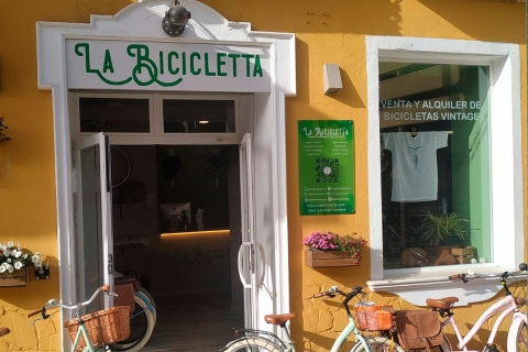 Malaga: location de vélos pour la route découverte de la ville et les plages