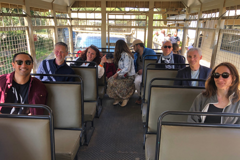 From Jo'burg: Lion Park & Cradle of Humankind with Lunch