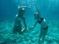 From Dubrovnik, Mljet National Park & 3 Islands Tour - Housity