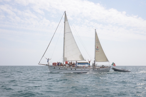 Albufeira: 6-godzinny rejs łodzią z grillem i napojami