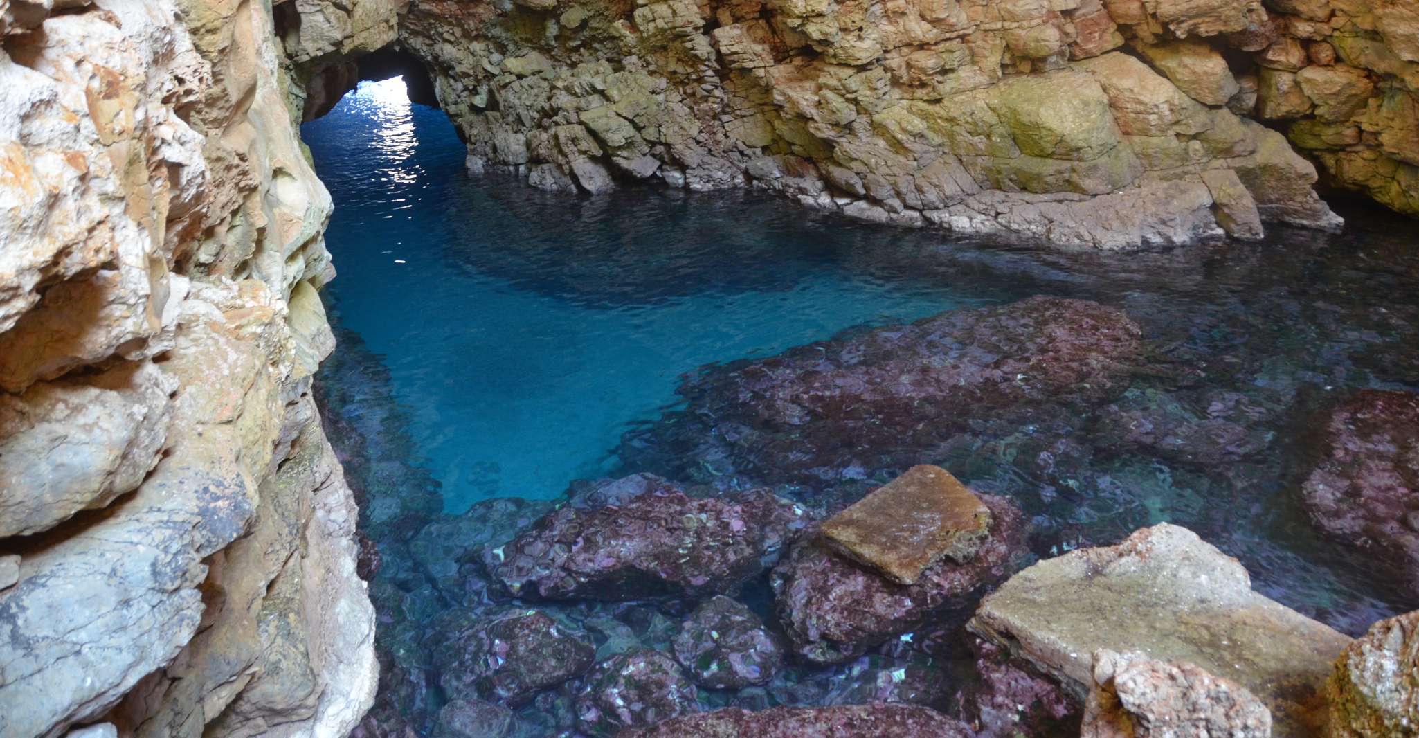 From Dubrovnik, Mljet National Park & 3 Islands Tour - Housity