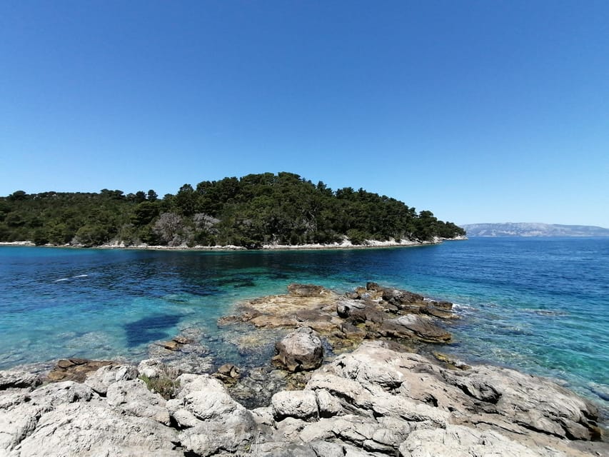 From Dubrovnik, Mljet National Park & 3 Islands Tour - Housity