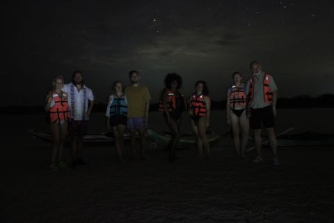 Holbox: tour in kayak di stelle e vita marina bioluminescente