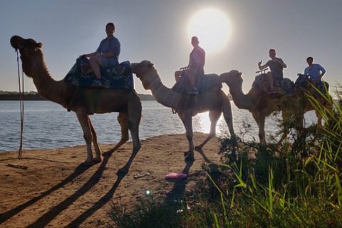 Agadir: Camel Ride Adventure with Couscous & BBQ Dinner