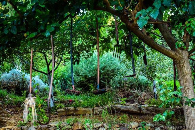 Kreta: Botanisches &amp; Bergabenteuer mit lokalem Essen