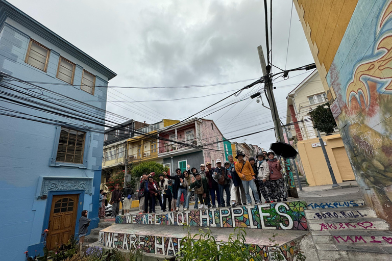 Valparaíso and Viña del Mar: a tour with art, culture, and beach from Santiago