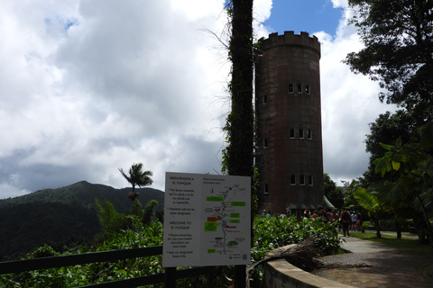 From San Juan: Rainforest Walk, Nature Swim & Luquillo Beach